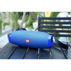 TG145Blue - Enceinte...